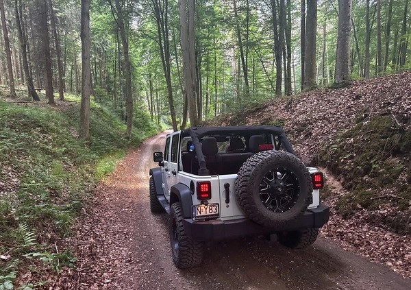 Jeep Wrangler cena 151900 przebieg: 87191, rok produkcji 2018 z Miłakowo małe 121